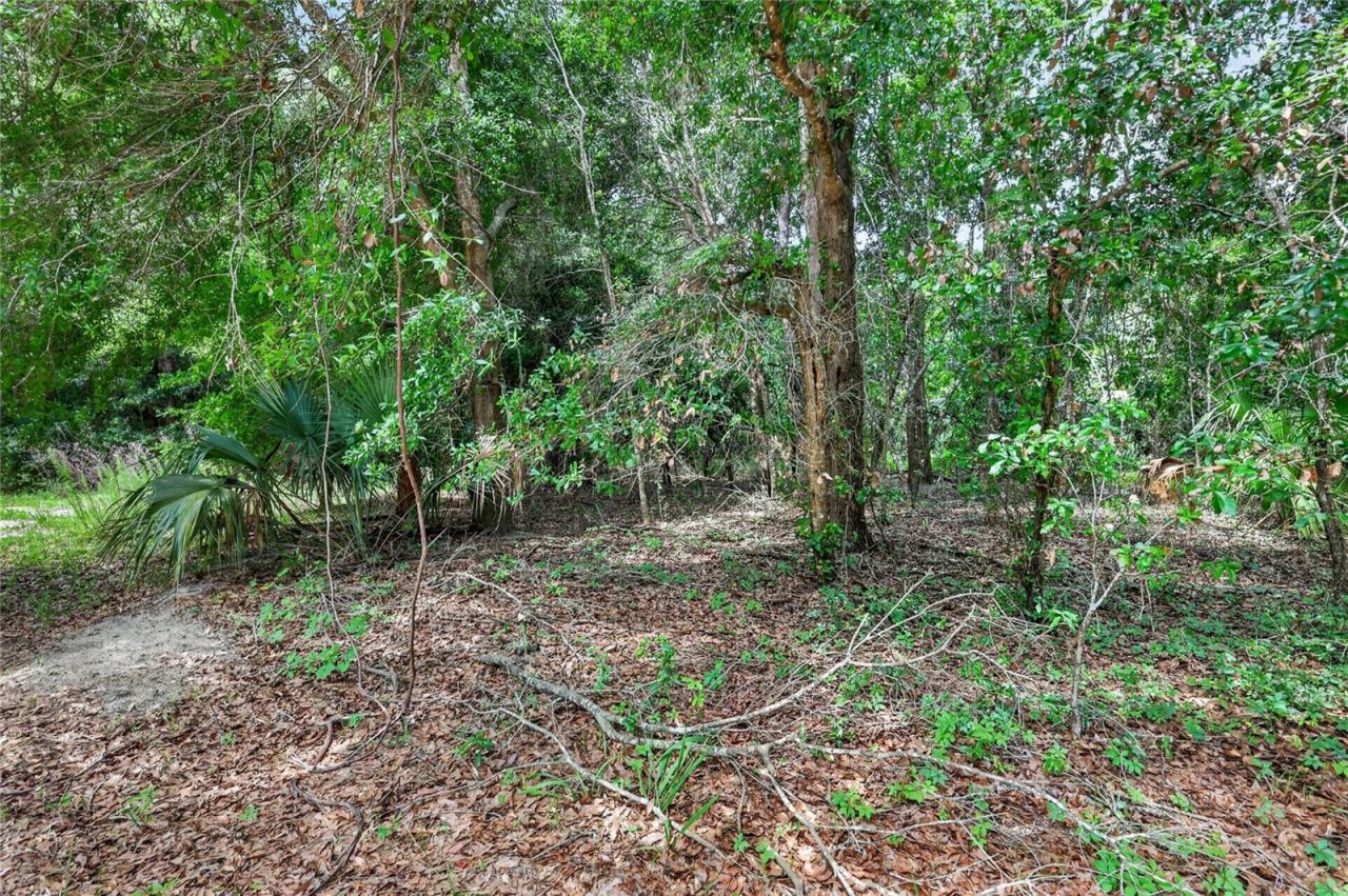 Kilker Road , Paisley, FL 32767 Photo