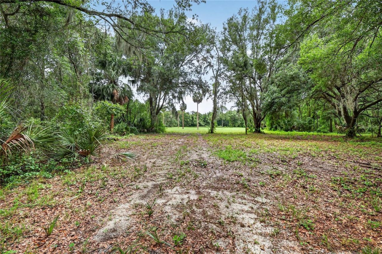 Kilker Road , Paisley, FL 32767 Photo