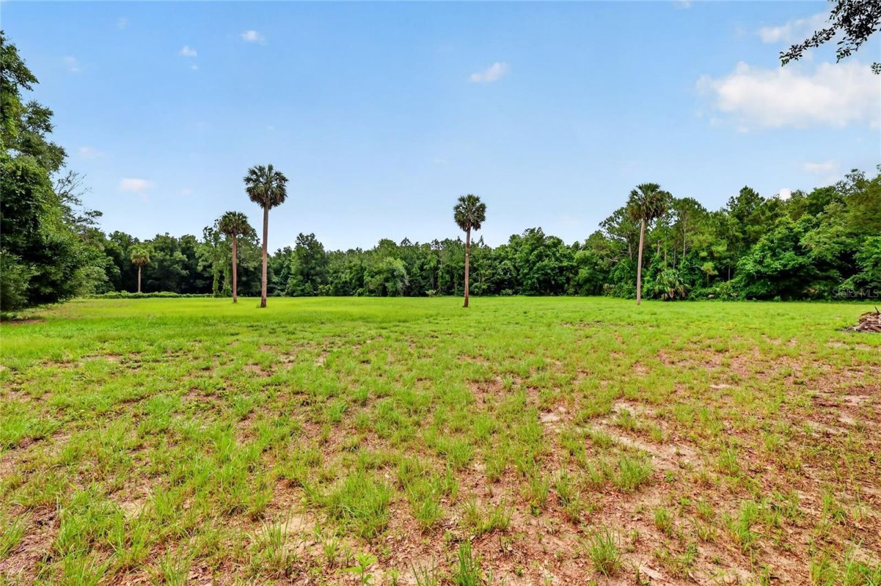 Kilker Road , Paisley, FL 32767 Photo