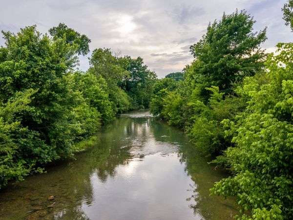 0 Ostella Rd , Cornersville, TN 37047
