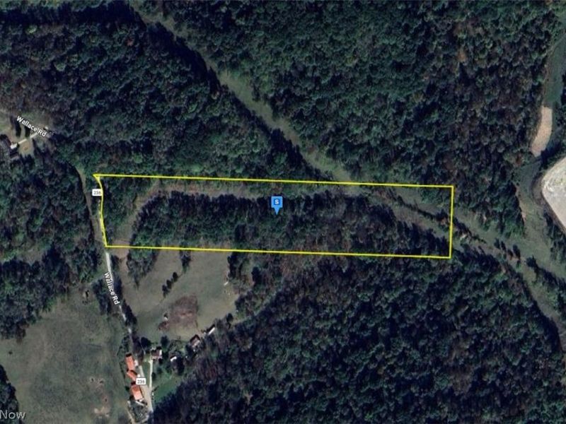 84601 Wallace Road , Cadiz, OH 43907 Photo 1