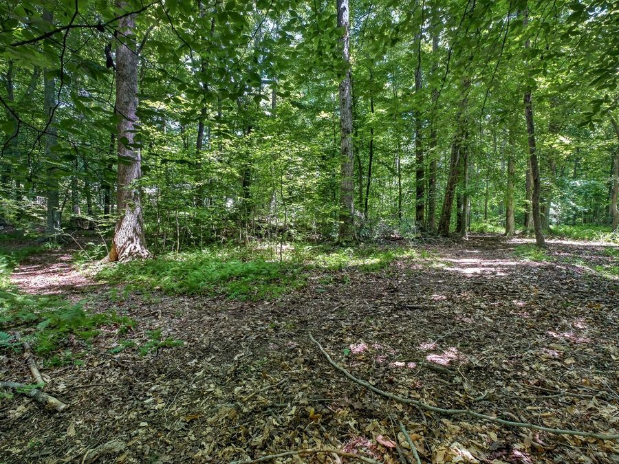 Property Image 50