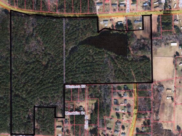 Tbd West Mount Road , Rocky Mount, NC 27803