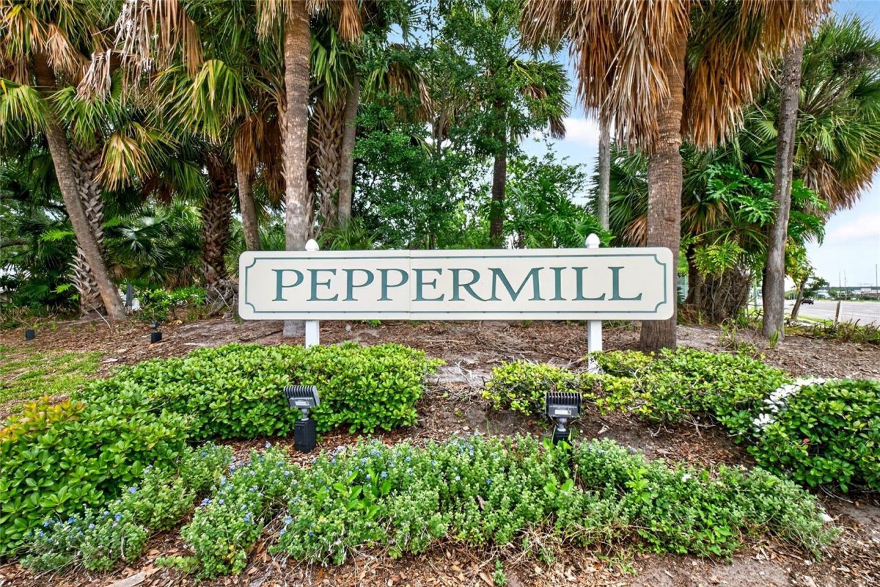 12022 Picalilli Street , Orlando, FL 32837 Photo