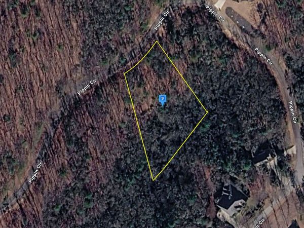 295 Pippin Cir, Clarkesville, GA 30523