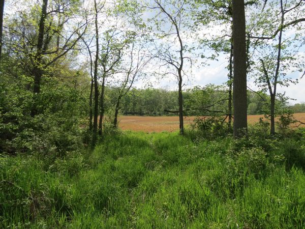 0 S Stoney Lake Road, Unit A, Jackson, MI 49201