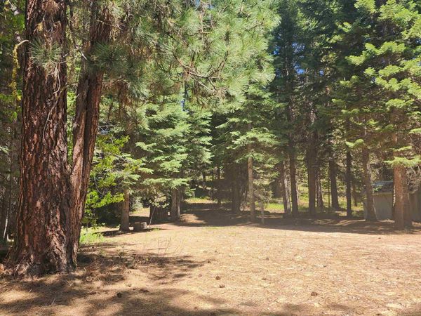9544 Packer John Rd, Cascade, ID 83611
