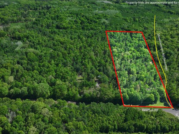 Parcel 'A' E Free Soil Road, Free Soil, MI 49411
