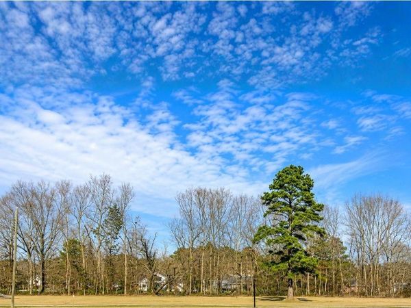 44068 MARY SINGLETARY Road , St Amant, LA 70774