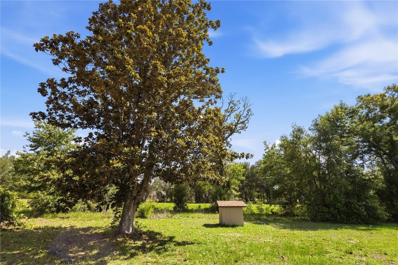 15191 NE 9th Street , Williston, FL 32696 Photo