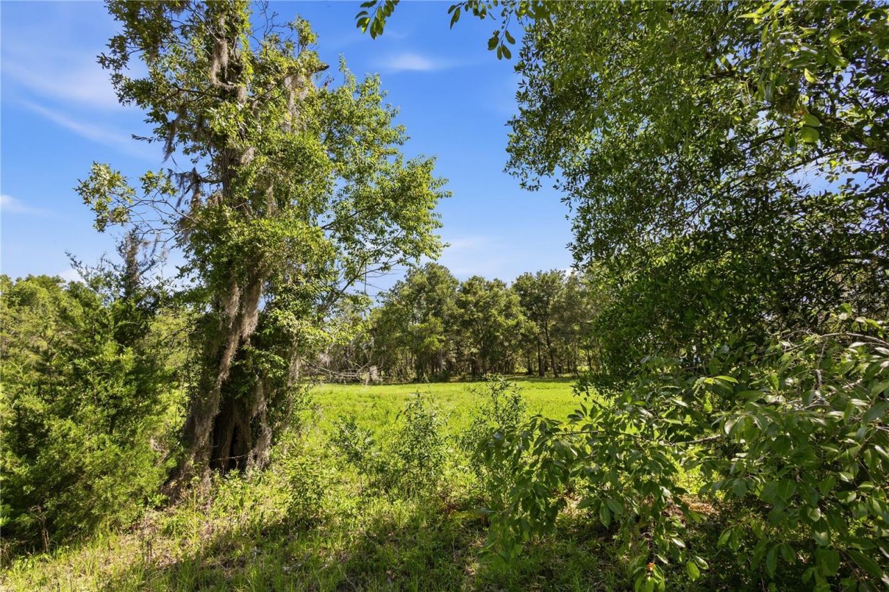 15191 NE 9th Street , Williston, FL 32696 Photo