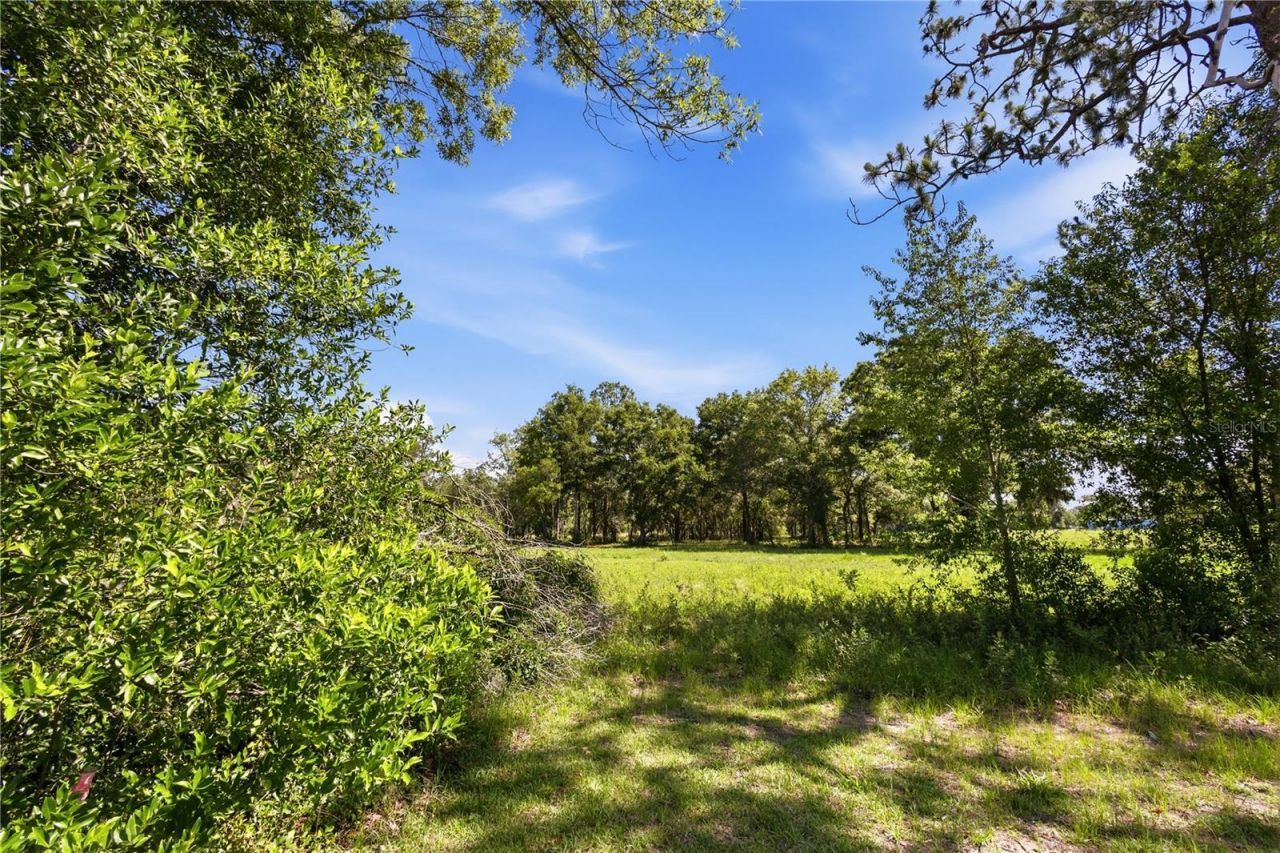 15191 NE 9th Street , Williston, FL 32696 Photo