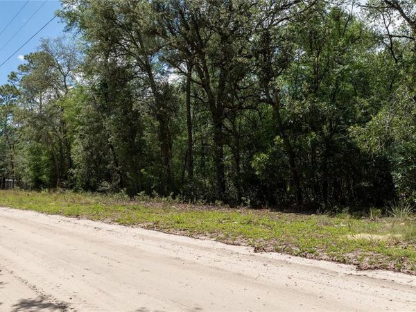 NE 71ST STREET , BRONSON, FL 32621