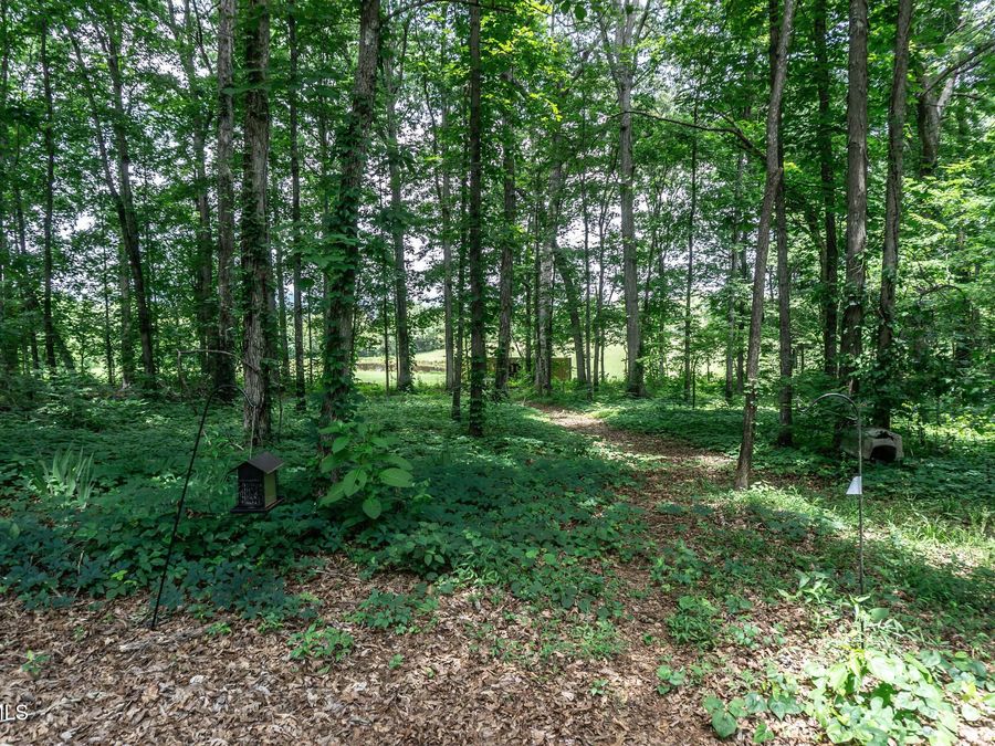 Property Image 59
