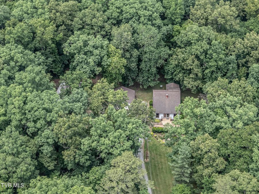 Property Image 60