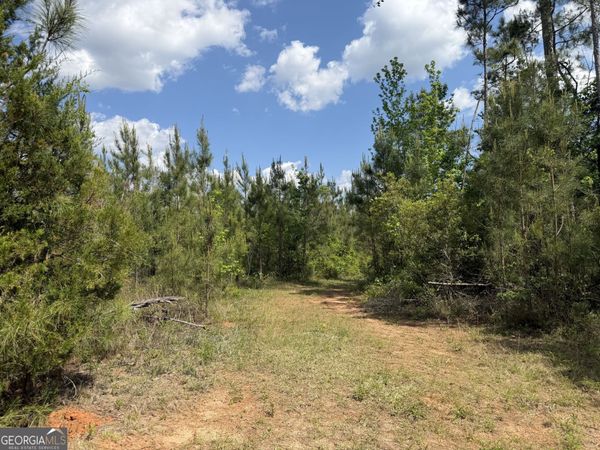 001 George Milling Road, Cuthbert, GA 39840