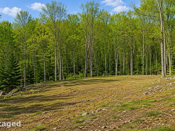 12 Break Maiden , Harwinton, CT 06791
