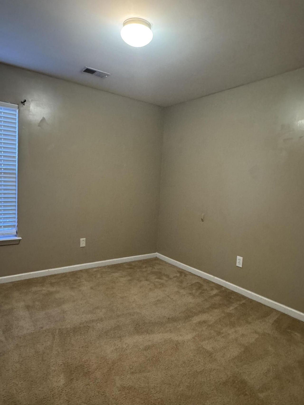 303 Eagleston Drive Photo 10