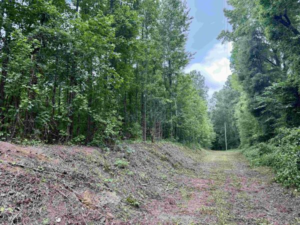 18 Acres - TBD Driffin Ln , Salters, SC 29590