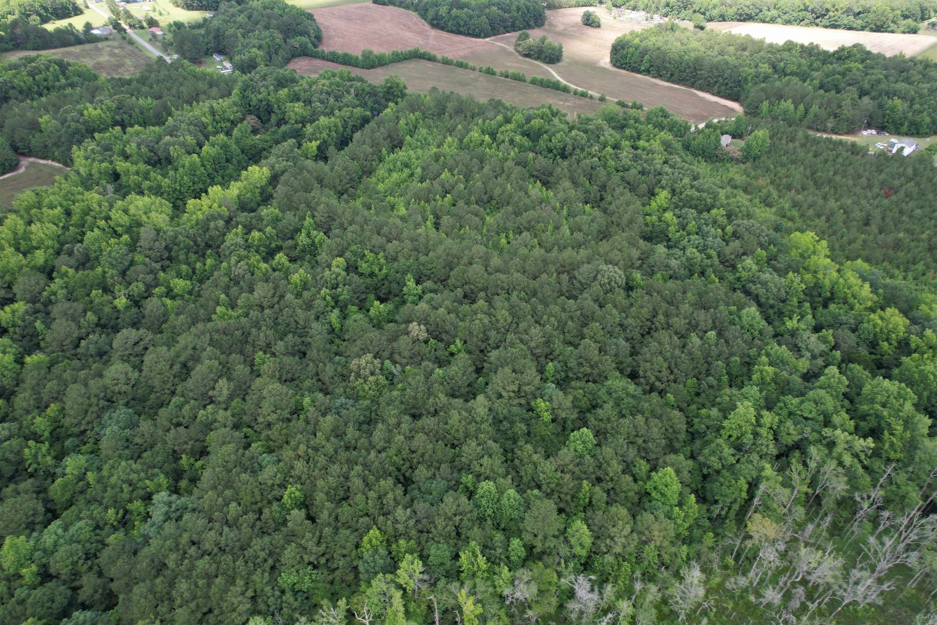 18 Acres - Tbd Driffin Ln  Photo 10