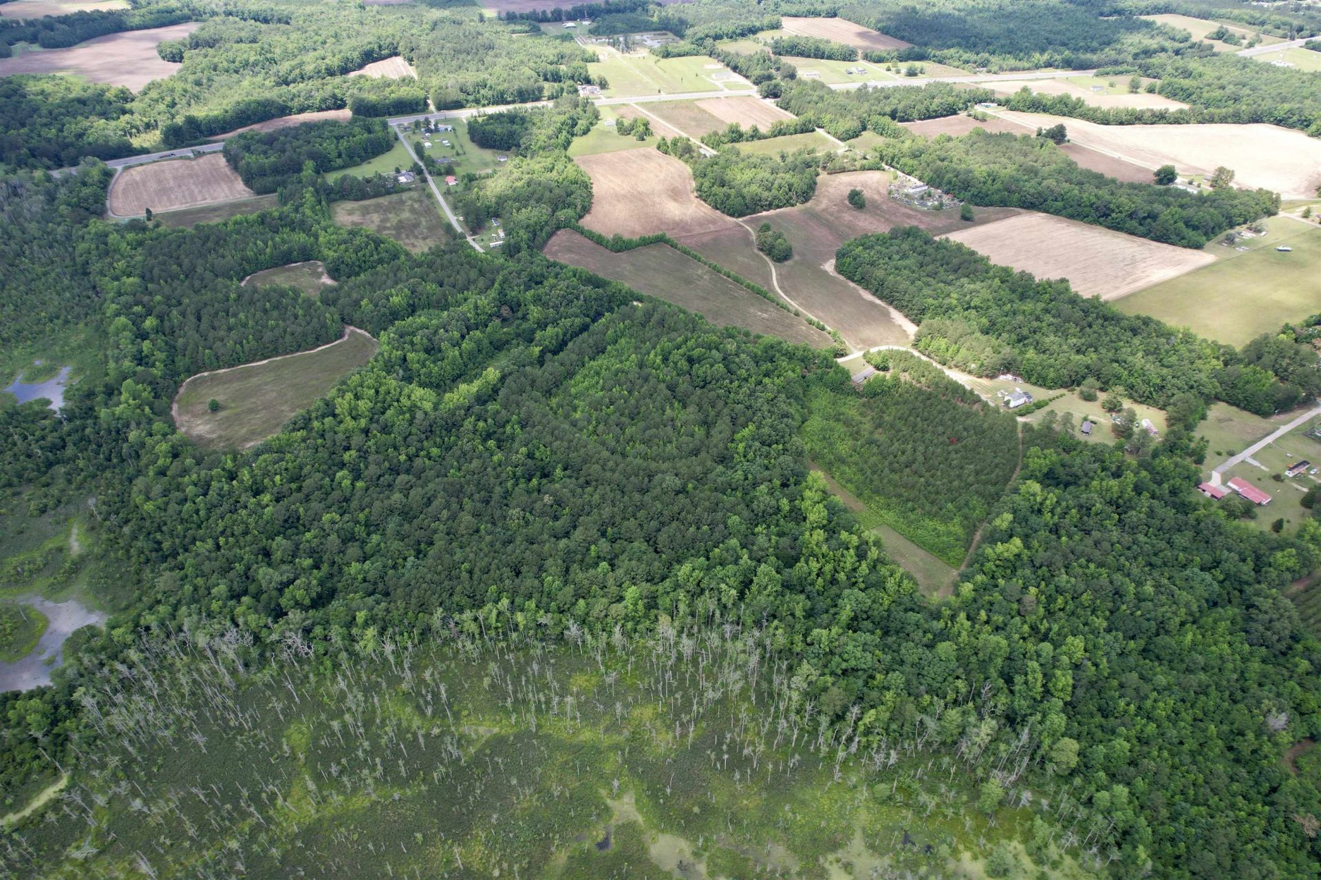 18 Acres - Tbd Driffin Ln  Photo 11
