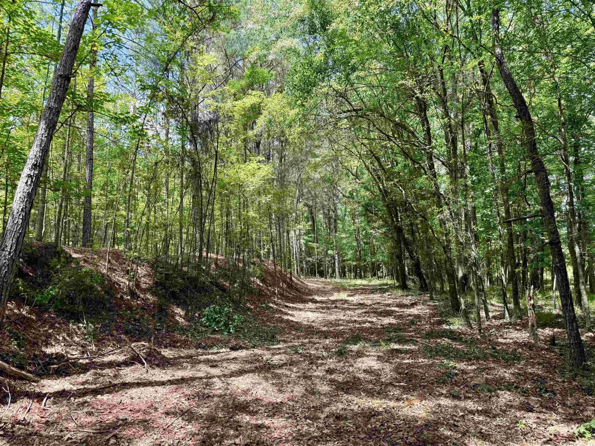 18 Acres - Tbd Driffin Ln  Photo 12