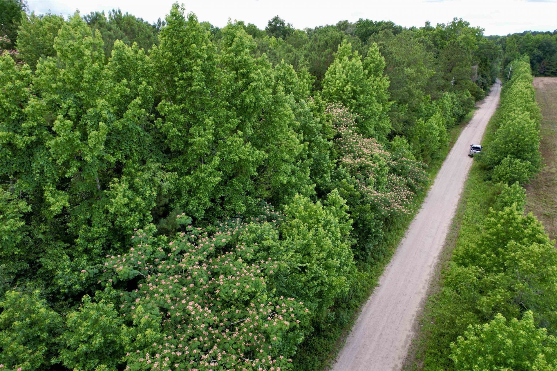 18 Acres - Tbd Driffin Ln  Photo 13