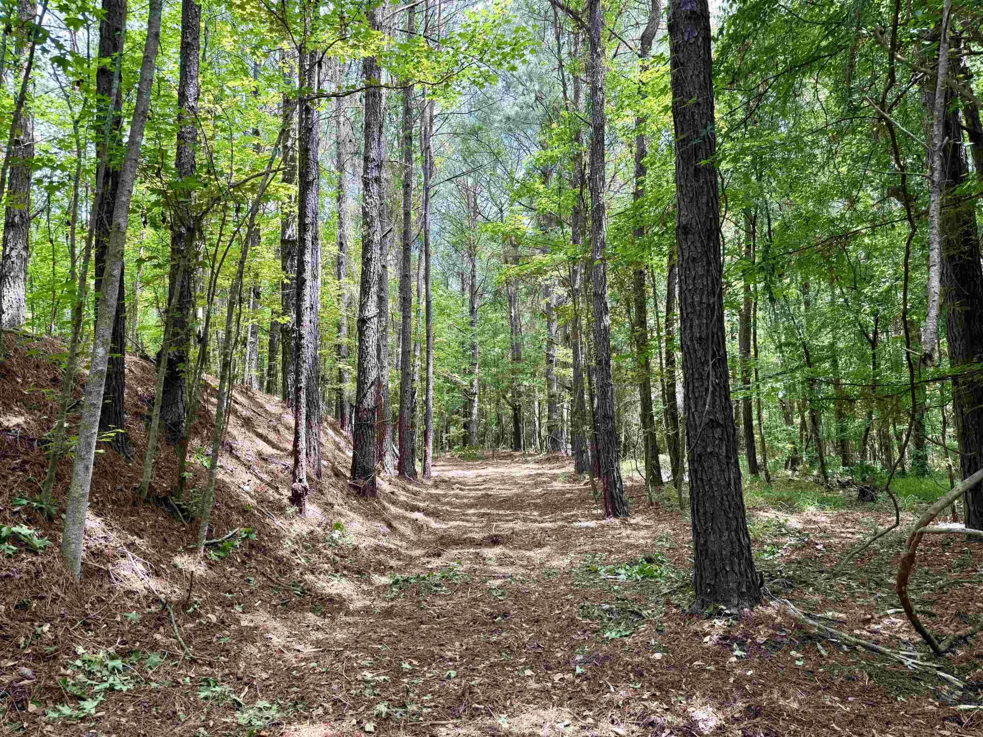 18 Acres - Tbd Driffin Ln  Photo 16