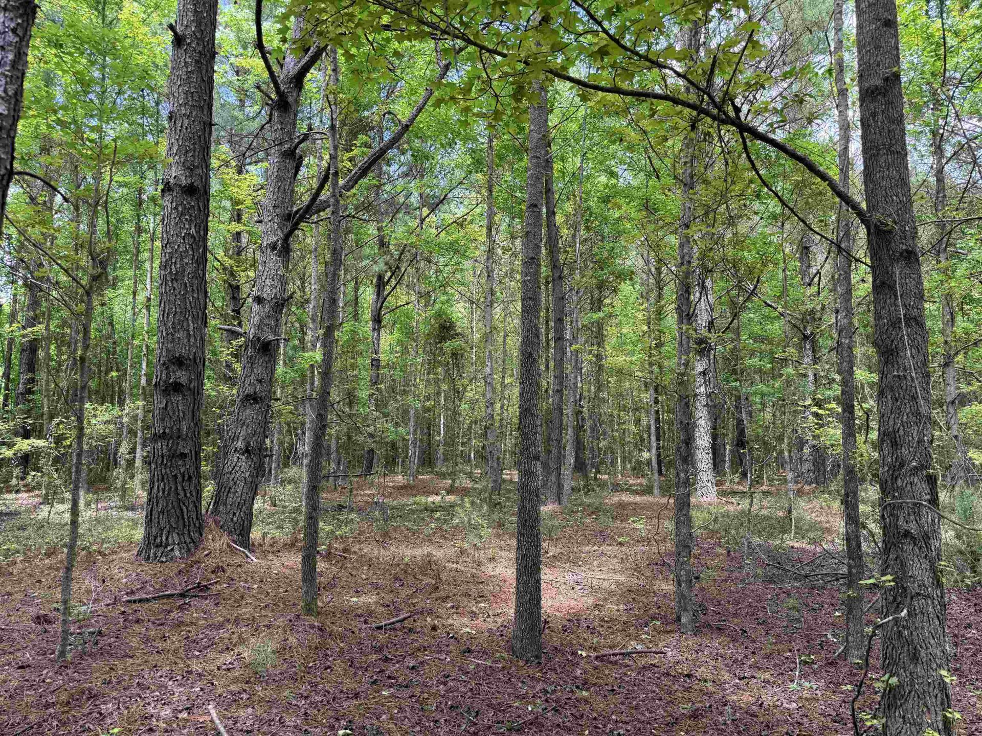 18 Acres - Tbd Driffin Ln  Photo 18