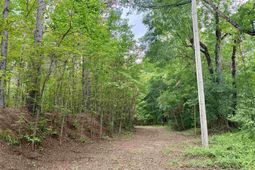 18 Acres - Tbd Driffin Ln  photo 4