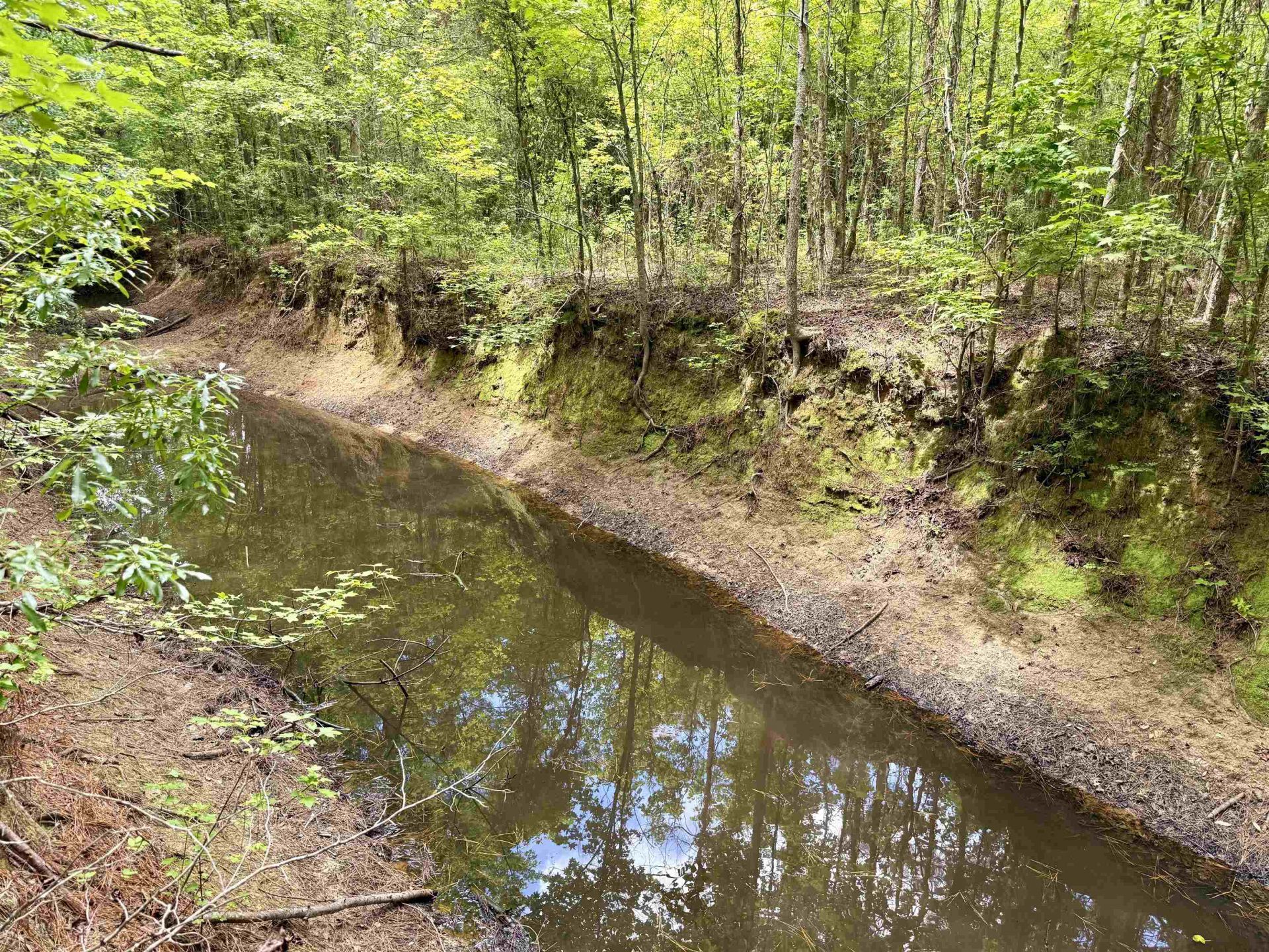 18 Acres - Tbd Driffin Ln  Photo 20