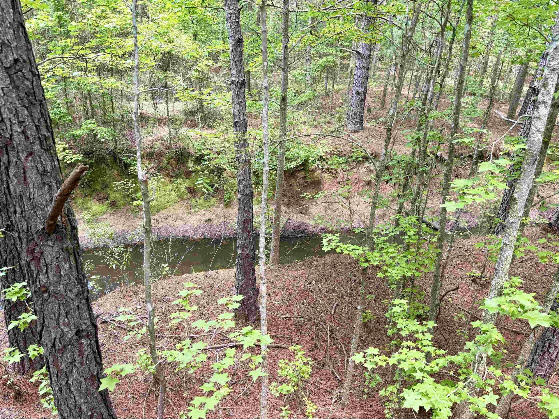 18 Acres - Tbd Driffin Ln  Photo 21