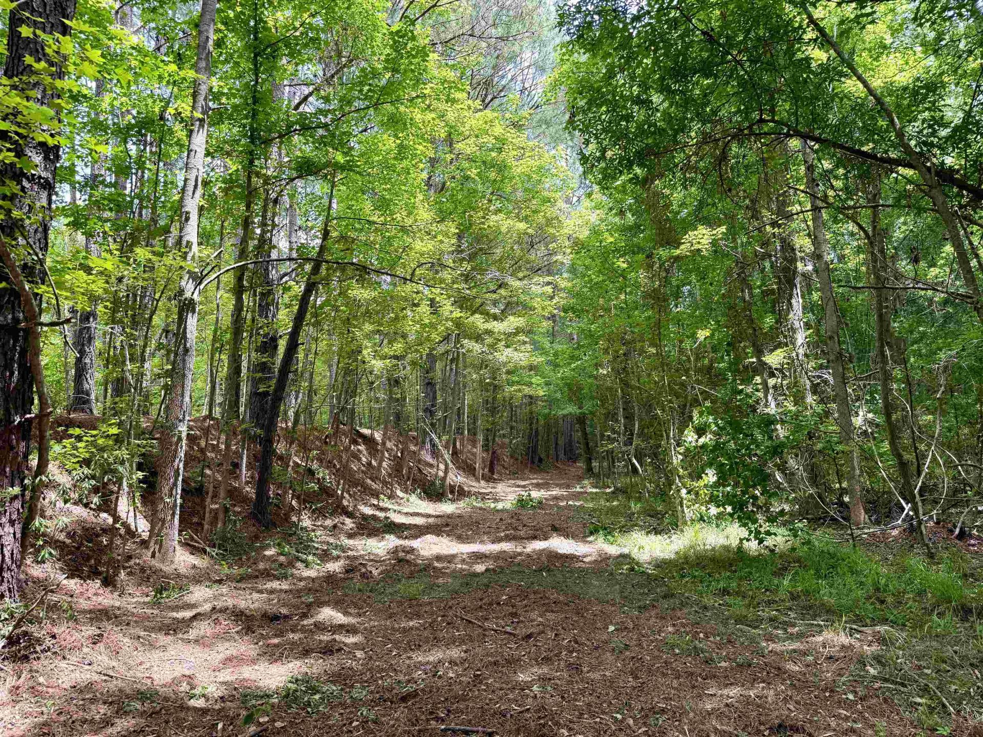 18 Acres - Tbd Driffin Ln  Photo 22