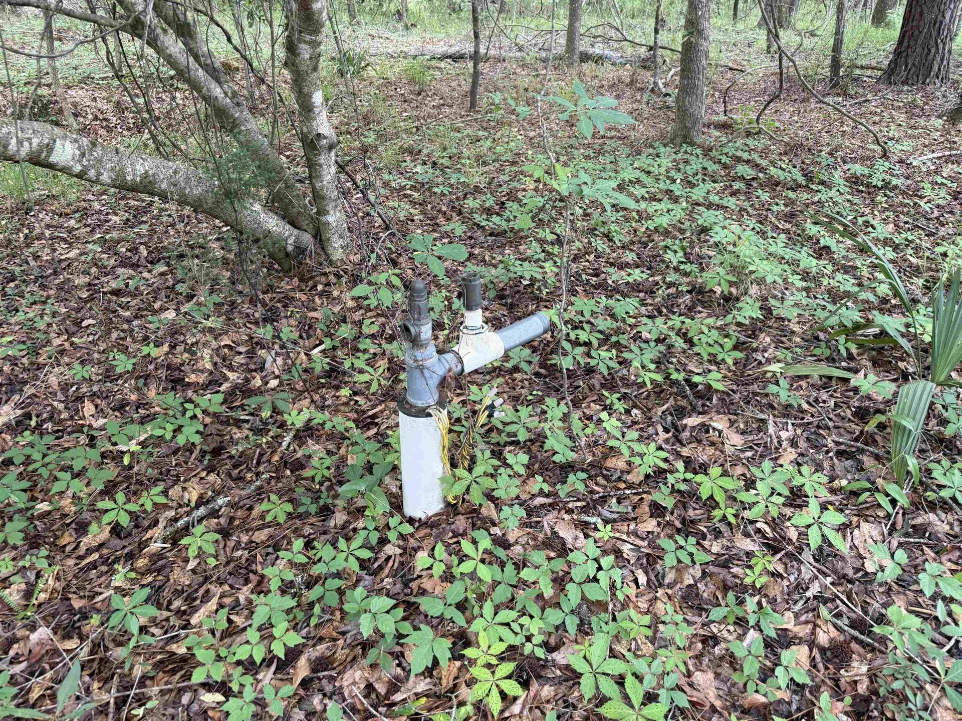 18 Acres - Tbd Driffin Ln  Photo 23