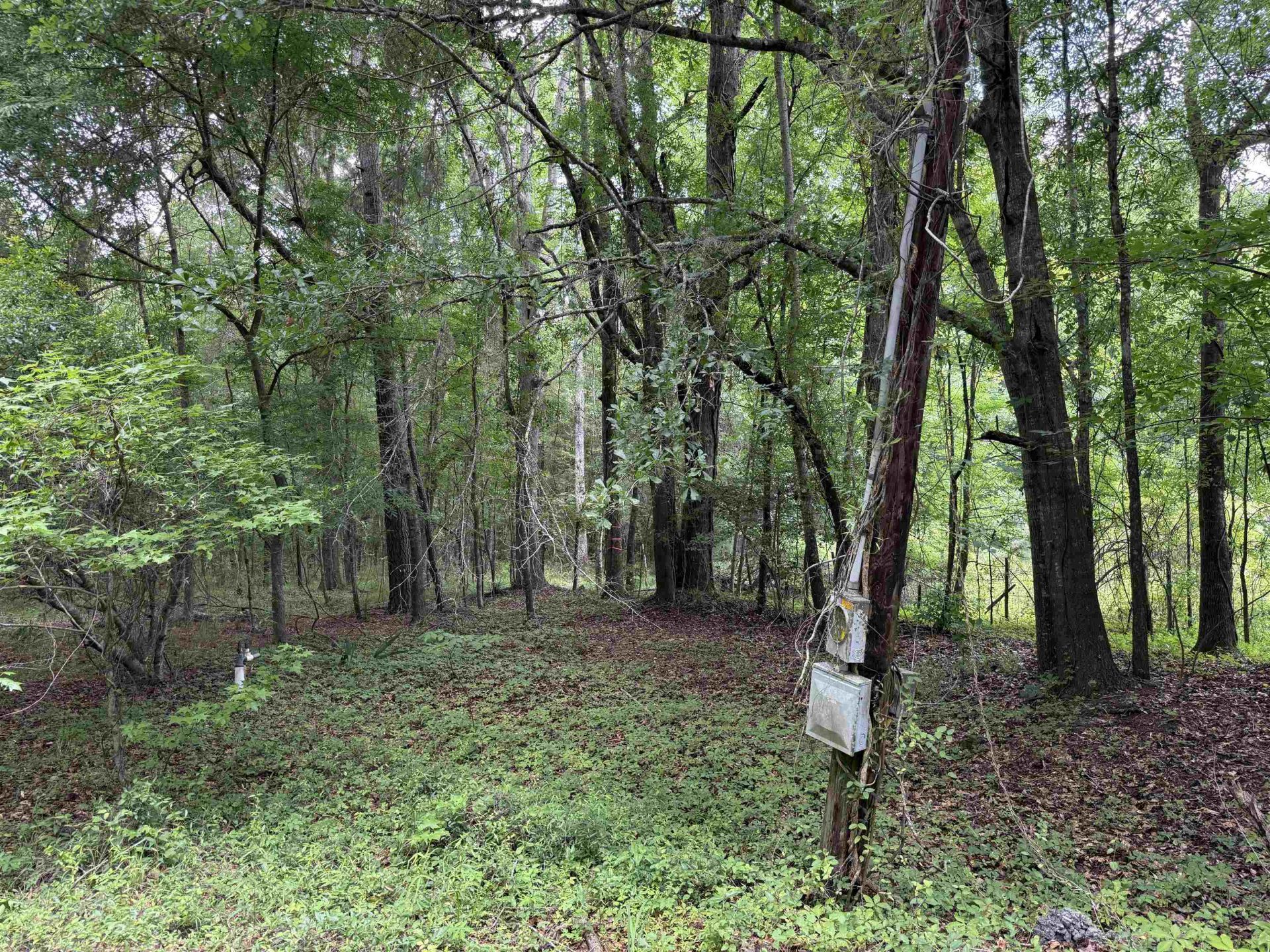 18 Acres - Tbd Driffin Ln  Photo 24