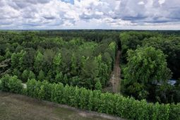 18 Acres - Tbd Driffin Ln  photo 4