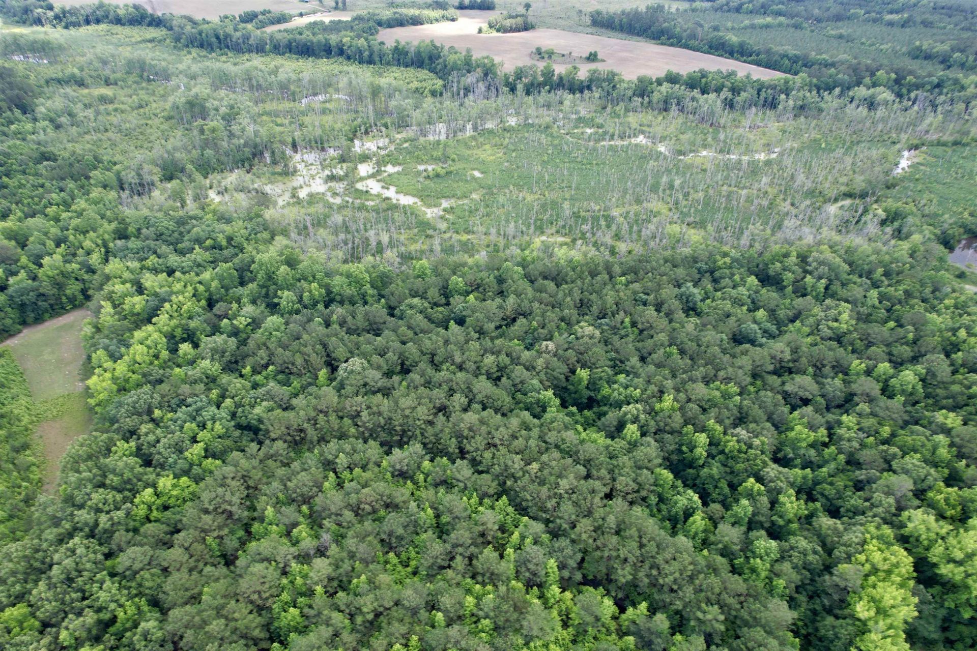 18 Acres - Tbd Driffin Ln  Photo 5