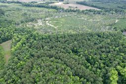 18 Acres - Tbd Driffin Ln  photo 4