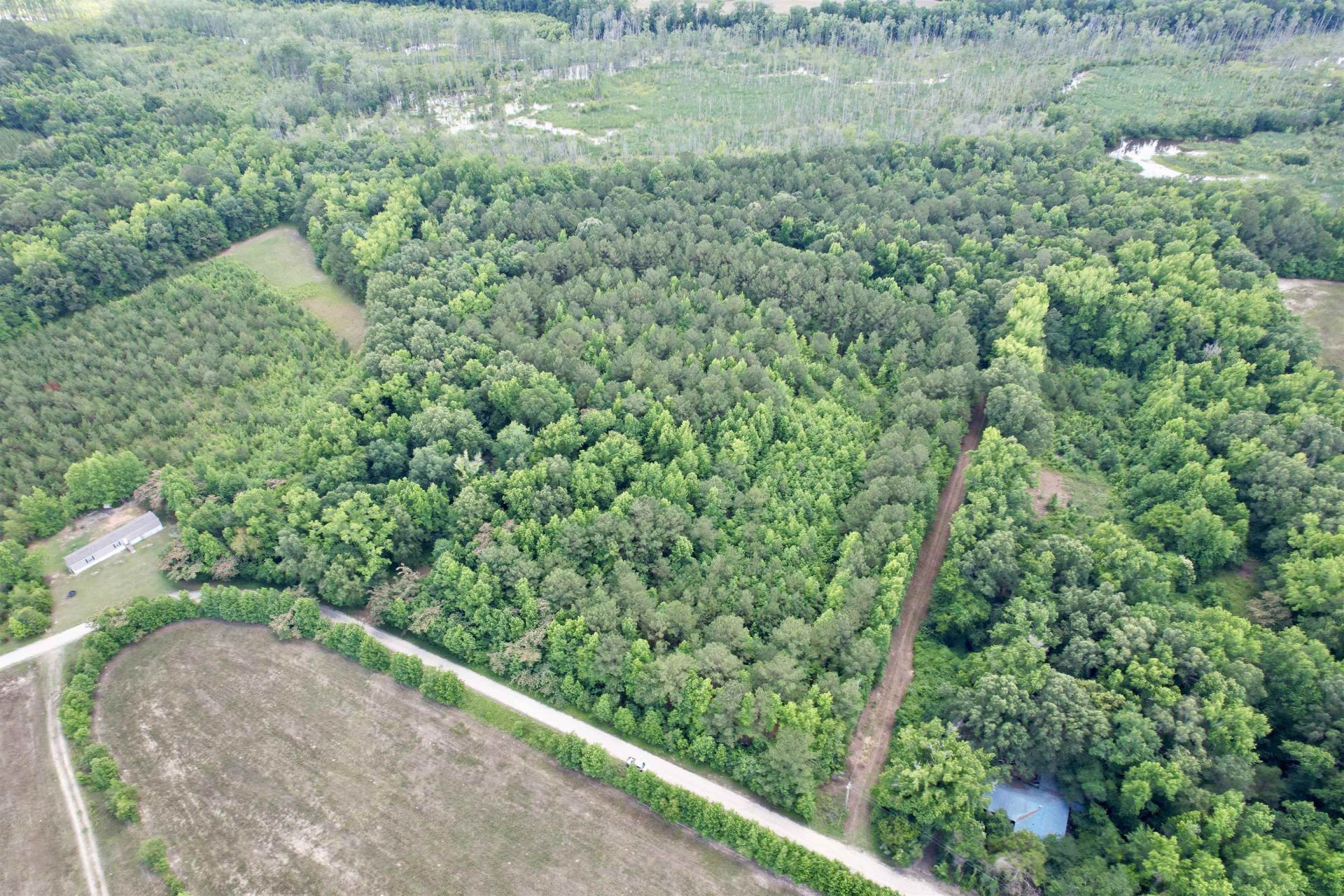 18 Acres - Tbd Driffin Ln  Photo 6