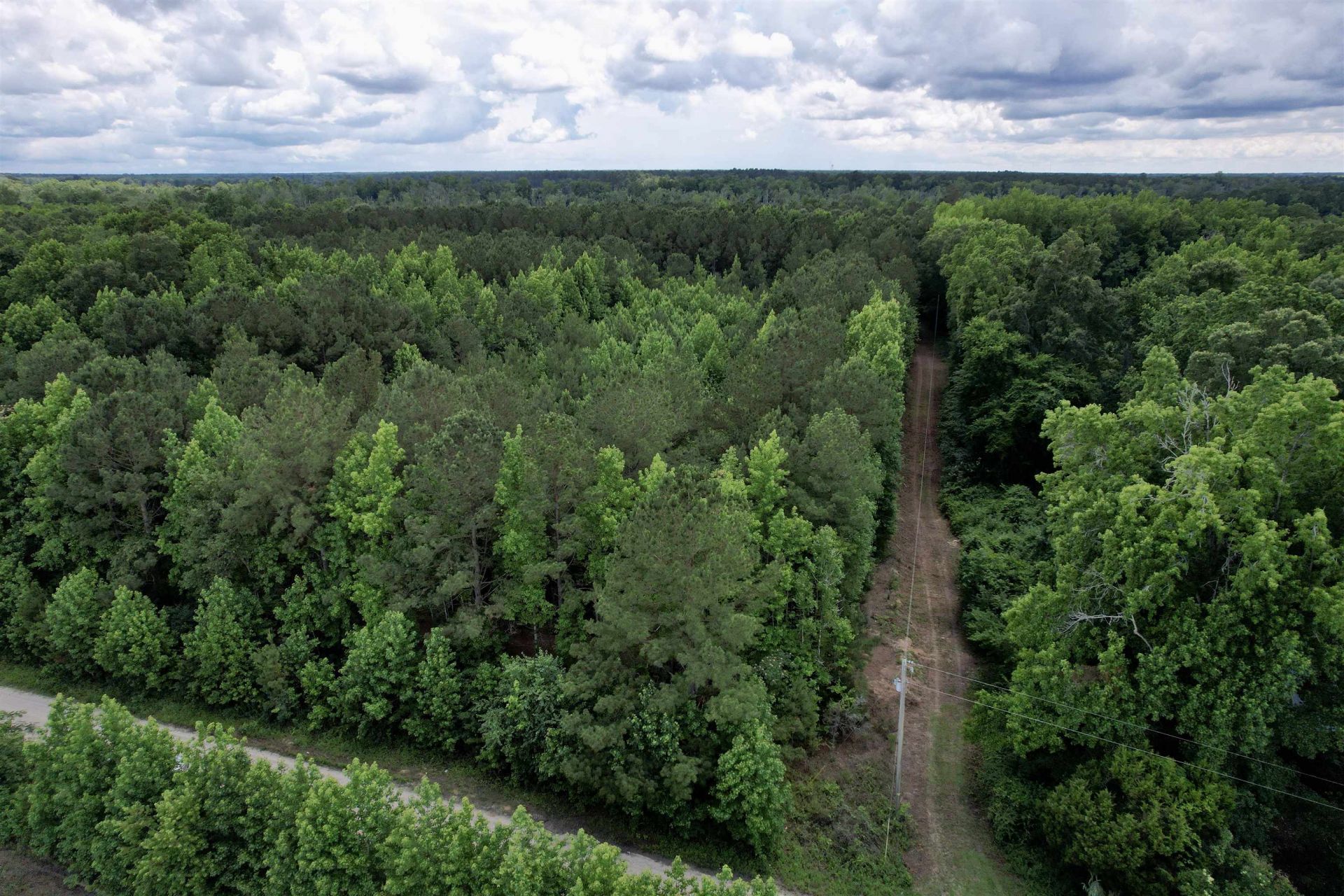 18 Acres - Tbd Driffin Ln  Photo 7