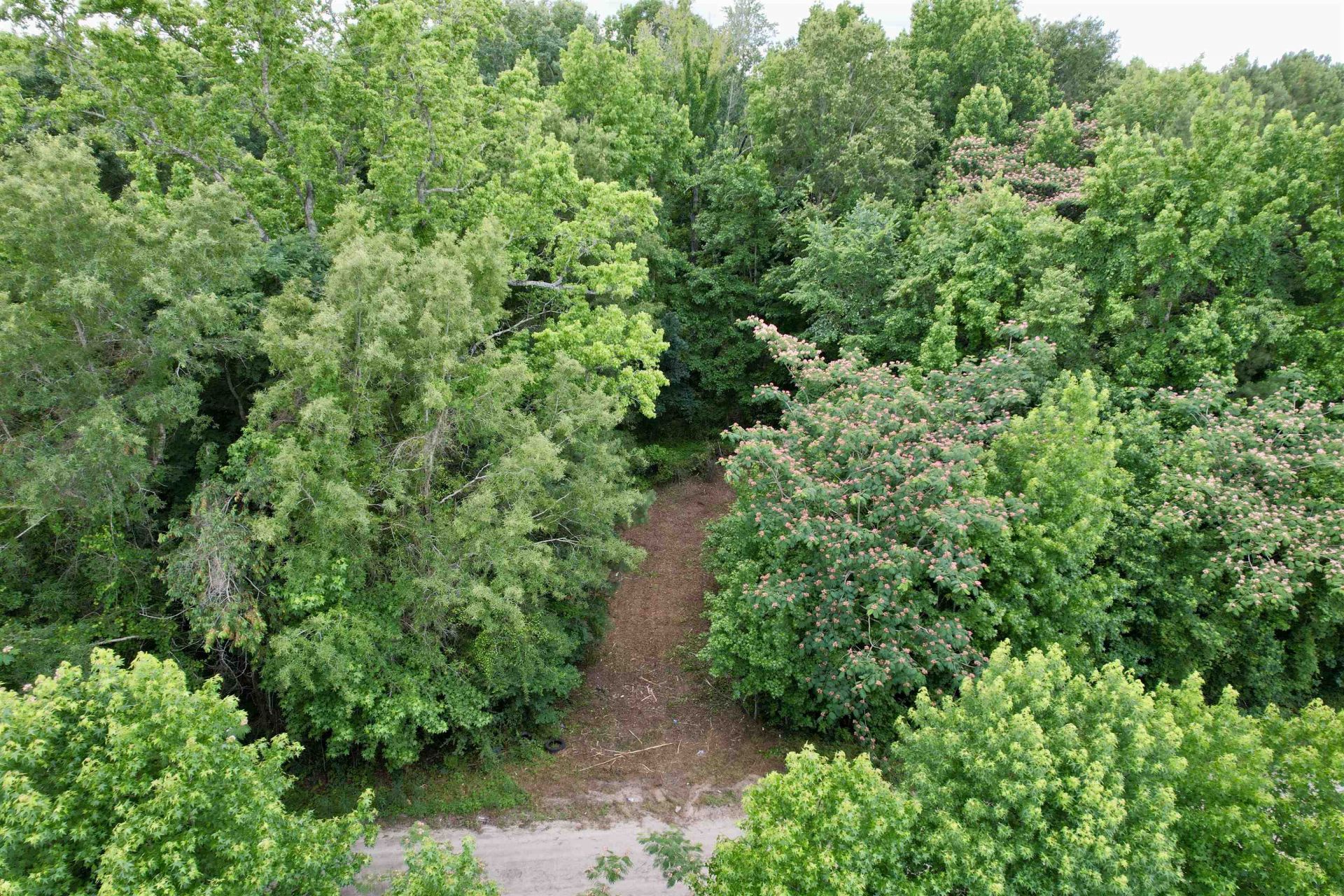 18 Acres - Tbd Driffin Ln  Photo 8