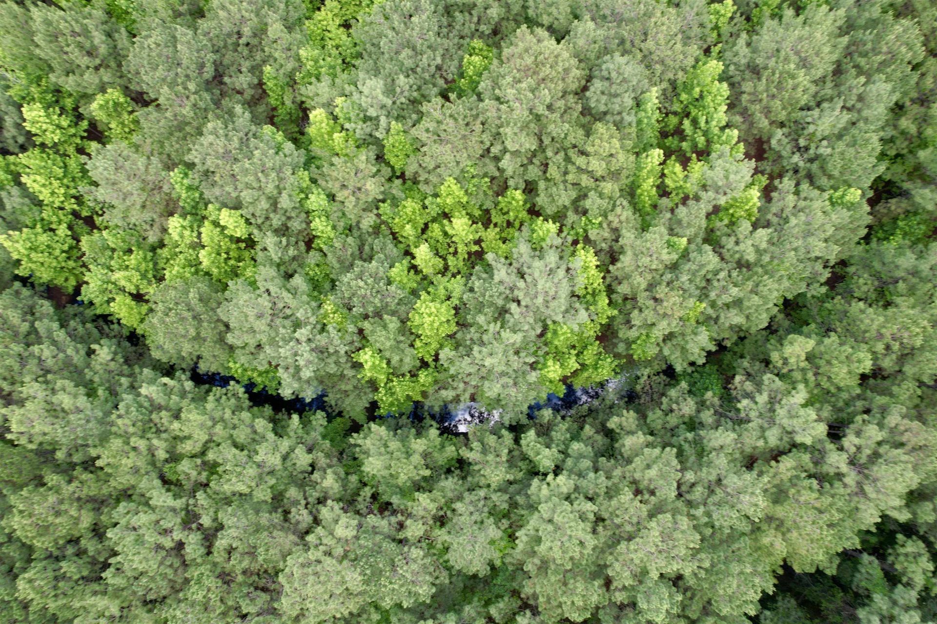 18 Acres - Tbd Driffin Ln  Photo 9