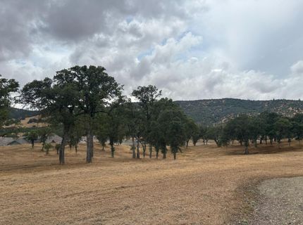377 Hawkridge Rd, Copperopolis, CA 95228 Photo