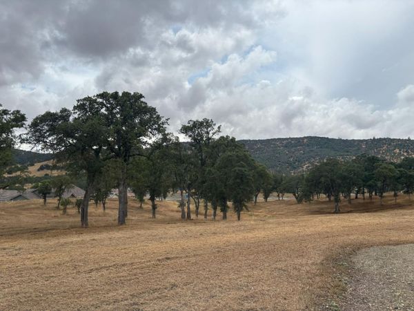 377 Hawkridge Rd, Copperopolis, CA 95228