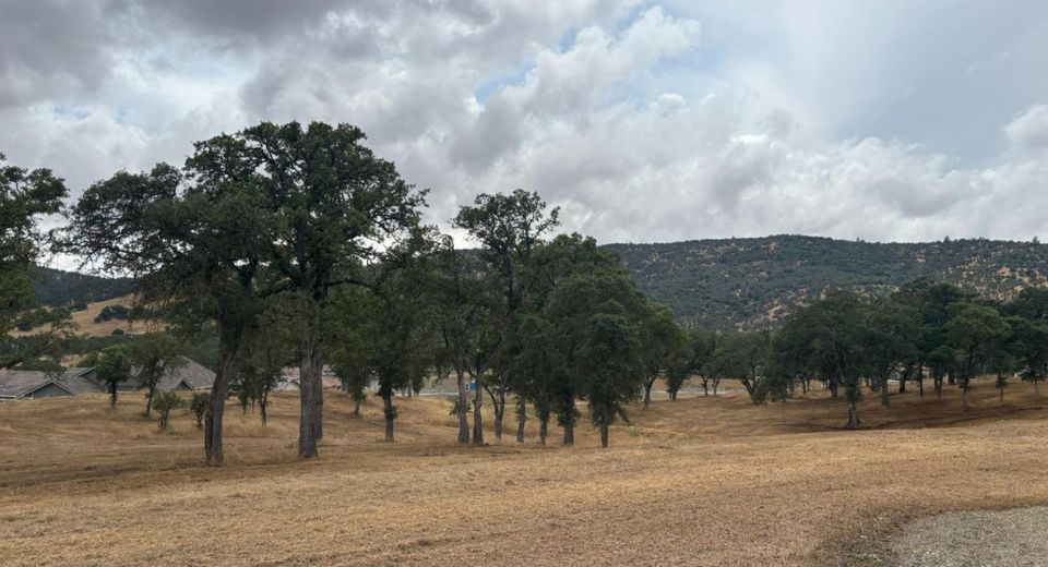 377 Hawkridge Rd, Copperopolis, CA 95228 Photo