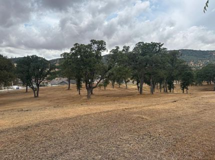 377 Hawkridge Rd, Copperopolis, CA 95228 Photo