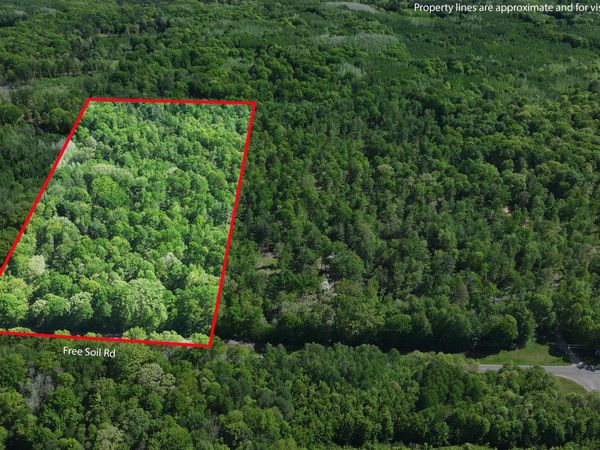 Parcel 'C' E Free Soil Road, Free Soil, MI 49411