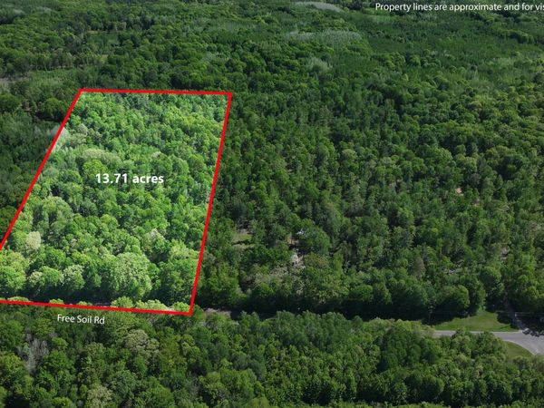 Parcel 'C' E Free Soil Road, Free Soil, MI 49411