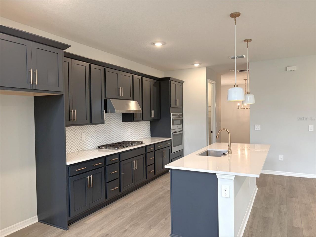 10139 Hidden Hammock Loop , Parrish, FL 34219 Photo