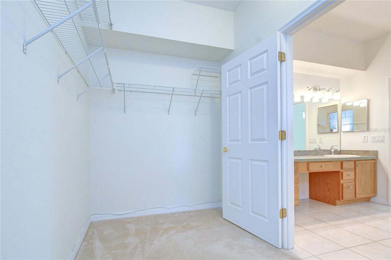 8049 Sanguinelli Road, Land O Lakes, FL 34637 Photo